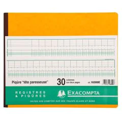 Registre tête paresseuse - 30 colonnes sur 2 pages - 270 x 320 mm (EXACOMPTA 16300E : Journal) Couverture