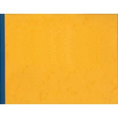 Registre à têtes paresseuses - 30 colonnes 80 pages - 250 x 320 mm ELVE 1884301