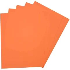 Caoutchouc Mousse - Orange - 200 x 290 mm : FOLIA Lot de 10 Modèle