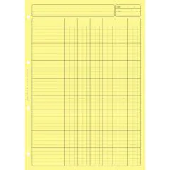BLOC AUDIT JAUNE : 6 colonnes avec en-tête - Feuille de travail  (2661 ELVE)