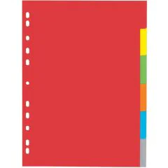 Jeu de 6 Intercalaires neutres - 225 x 300 mm - Assortiment de couleurs : PAGNA Visuel