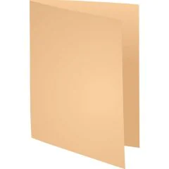 330002E EXACOMPTA chemises pour dossiers A4  SUPER 210 - Bulle