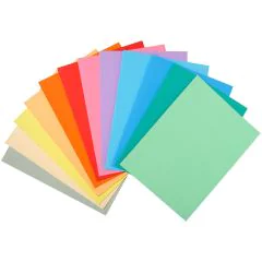 340000E EXACOMPTA : Chemises pour dossiers A4  SUPER 160 - Assortiment