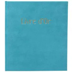 Livre d'or - 270 x 220 mm - 100 pages - Gris : EXACOMPTA Ellipse image
