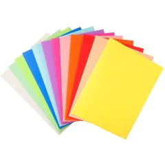 410000E EXACOMPTA Chemises pour dossiers A4  FOREVER 220 - Assortiment