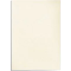 Lot de 100 couvertures pour Reliure Delta - Carton - Ivoire : FELLOWES Visuel