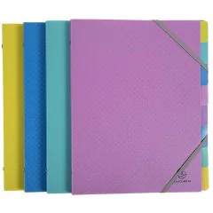 Photo Trieur 8 compartiments - Assortiment EXACOMPTA Forever Young