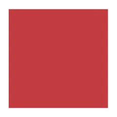 Feuilles de couleur A4 - 210 x 297 mm - Hibiscus FOLIA