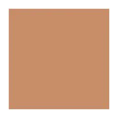 Feuilles de couleur A4 - 210 x 297 mm Marron clair FOLIA