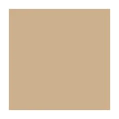 Feuilles de couleur A4 - 210 x 297 mm Cappuccino FOLIA