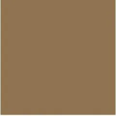 Feuilles de couleur A4 - 210 x 297 mm - Marron chevreuil : FOLIA Visuel