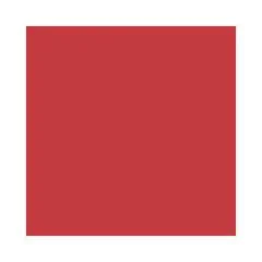 Feuilles de papier de couleur - 500 x 700 mm - Hibiscus : FOLIA Lot de 10