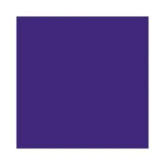 Feuilles de papier de couleur - 500 x 700 mm - Violet foncé : FOLIA Lot de 10
