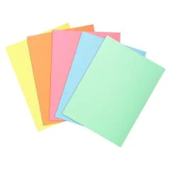 850000E EXACOMPTA : Sous-chemises pour dossiers A4  - Assortiment image