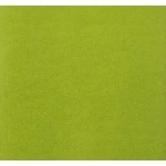 Papier de soie - Vert Pomme - 500 x 750 mm : CLAIREFONTAINE Lot de 8 couleur