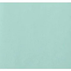 Papier de soie - Bleu Ciel - 500 x 750 mm : CLAIREFONTAINE Lot de 8 couleur