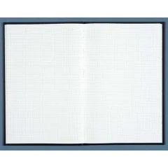 Registre - 500 pages quadrillées - 390 x 255 mm - LE DAUPHIN  image