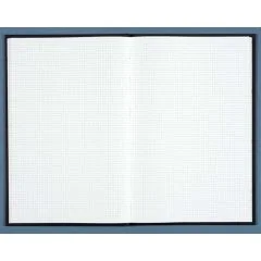 Registre - 600 pages quadrillées - 390 x 255 mm - LE DAUPHIN  image