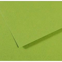Feuille de papier dessin Mi-teintes - Vert - 500 x 650 mm : CANSON Exemple