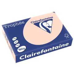 Ramette de papier de 250 feuilles A3 160g - Saumon : CLAIREFONTAINE Trophée Modèle