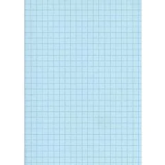 Fiches Bristol A5 - 148 x 210 mm - Bleu quadrillé ELVE B14813B