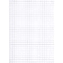 Feuilles Bristol - 75 x 125 mm - Blanc quadrillé (ELVE B7513 Lot de 100) blanc