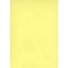 Fiches Bristol Unies A3 - 297 x 420 mm - Jaune : ELVE Lot de 100 Visuel