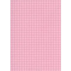 Fiches bristol A6 - 105 x 148 mm - Rose quadrillé B-10513R ELVE Lot de 100 rose