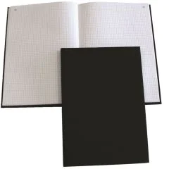 Registre 300 pages quadrillées A4 297 x 210 mm ELVE 71313 