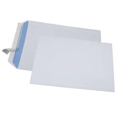 Lot de 250 Pochettes d'expédition ECO sans fenêtre - 260 x 330 mm : GPV
