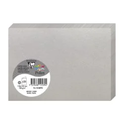Photo Cartes double en papier - 110 x 155 mm C6 - Argent : CLAIREFONTAINE Pollen