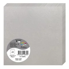 Photo Cartes double en papier - 135 x 135 mm - Argent : CLAIREFONTAINE Pollen