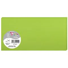 Photo POLLEN Carte DL vert menthe 106 x 213 mm 1521C Clairefontaine