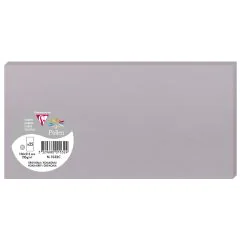 Photo POLLEN Carte DL Gris koala 106 x 213 mm 1532C Clairefontaine