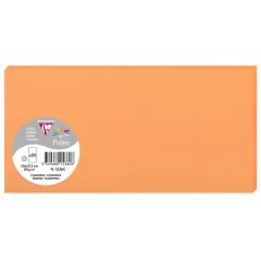 Photo POLLEN Carte DL Clémentine 106 x 213 mm 1536C Clairefontaine