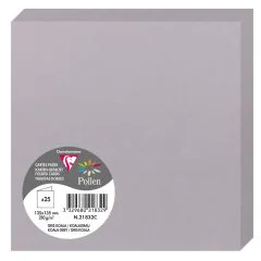 Photo Cartes double en papier - 135 x 135 mm - Gris Koala CLAIREFONTAINE Pollen Lot de 25