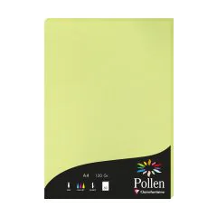 Photo Feuille de couleur Vert bourgeon 210 x 297 mm A4 POLLEN 44205C