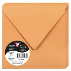 Photo Enveloppe POLLEN Clémentine Format  140 x 140 mm 5598C