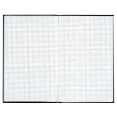 Photo Registre 300 pages quadrillées - 297 x 210 mm LE DAUPHIN VS