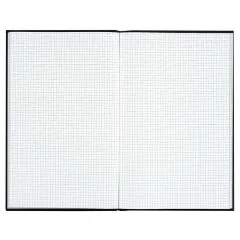 Registre 400 pages quadrillées - 297 x 210 mm LE DAUPHIN VS 654D