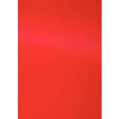 photo Plat de couverture pour reliure A4 - Carton Grain Cuir - Rouge PAVO (8005291)