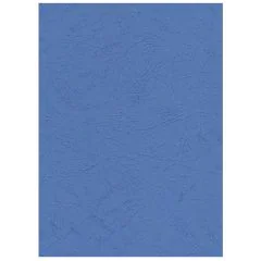 Photo Plat de couverture pour reliure A4 - Carton Grain Cuir - Bleu mat PAVO (8011148)