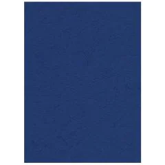 Photo Plat de couverture pour reliure A4 - Carton Grain Cuir - Bleu Foncé mat PAVO (8036042)