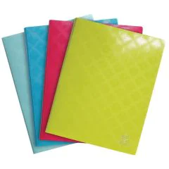 Photo Protège-documents de 40 vues - Assortiment EXACOMPTA 1928