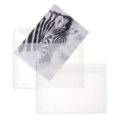 Photo MAIL-Média : Enveloppes transparentes DL - Blanc Couleur