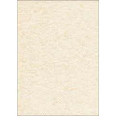 Lot de 50 feuilles de papier Perga - A4 - Champagne : SIGEL Visuel