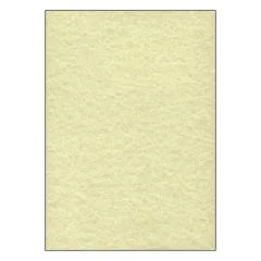 SIGEL DP605 : Lot de 100 feuilles Perga - Format A4 - Champagne