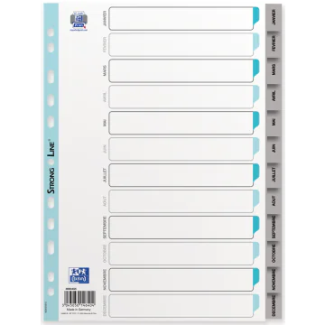 Jeu de 12 Intercalaires mensuels en plastique - 210 x 297 mm OXFORD