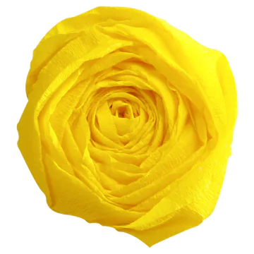 Papier Crépon - Jaune citron : CLAIREFONTAINE Photo