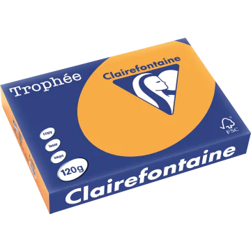 Ramette de papier de 250 feuilles A4 120g - Clémentine : CLAIREFONTAINE Trophée Photo